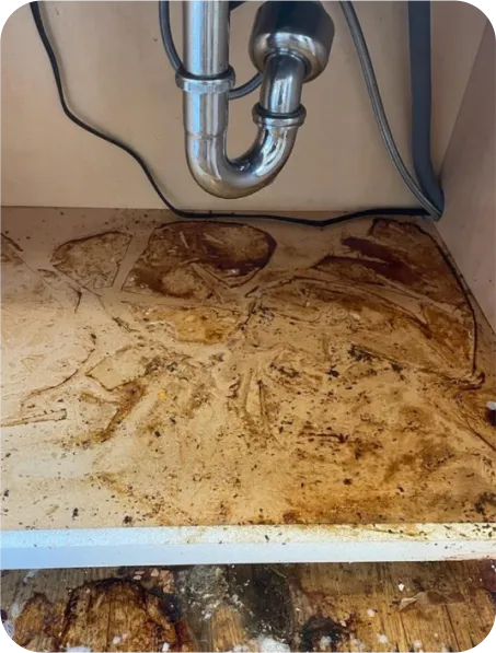 Sunlight Cleaning Services in Oakland, CA (4)