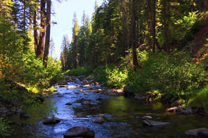 American Homes And Land in Paradise, CA (2)
