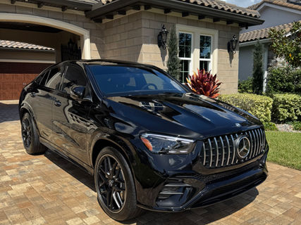 RAD Spa Mobile Detailing in Wesley Chapel, FL (5)