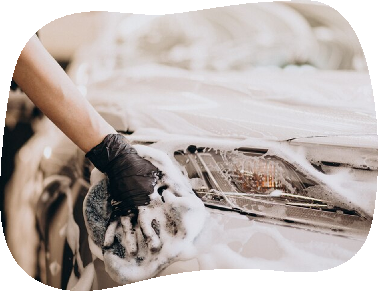 Wise Hand Car Wash & Detail in Schaumburg, IL