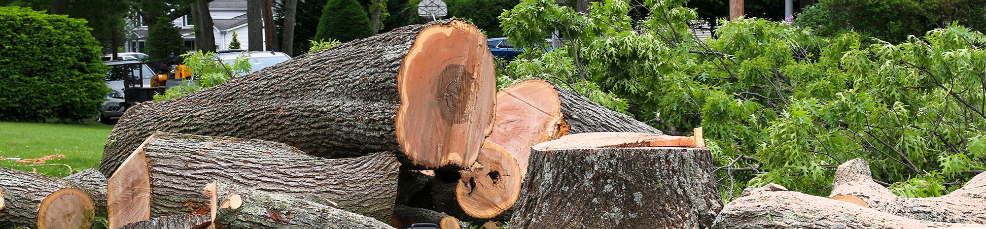 Black's Tree Service LLC in Marietta, OH