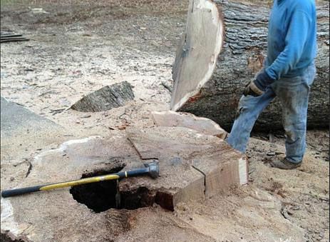 Black's Tree Service LLC in Marietta, OH (4)