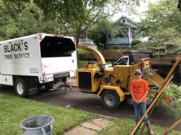Black's Tree Service LLC in Marietta, OH (6)