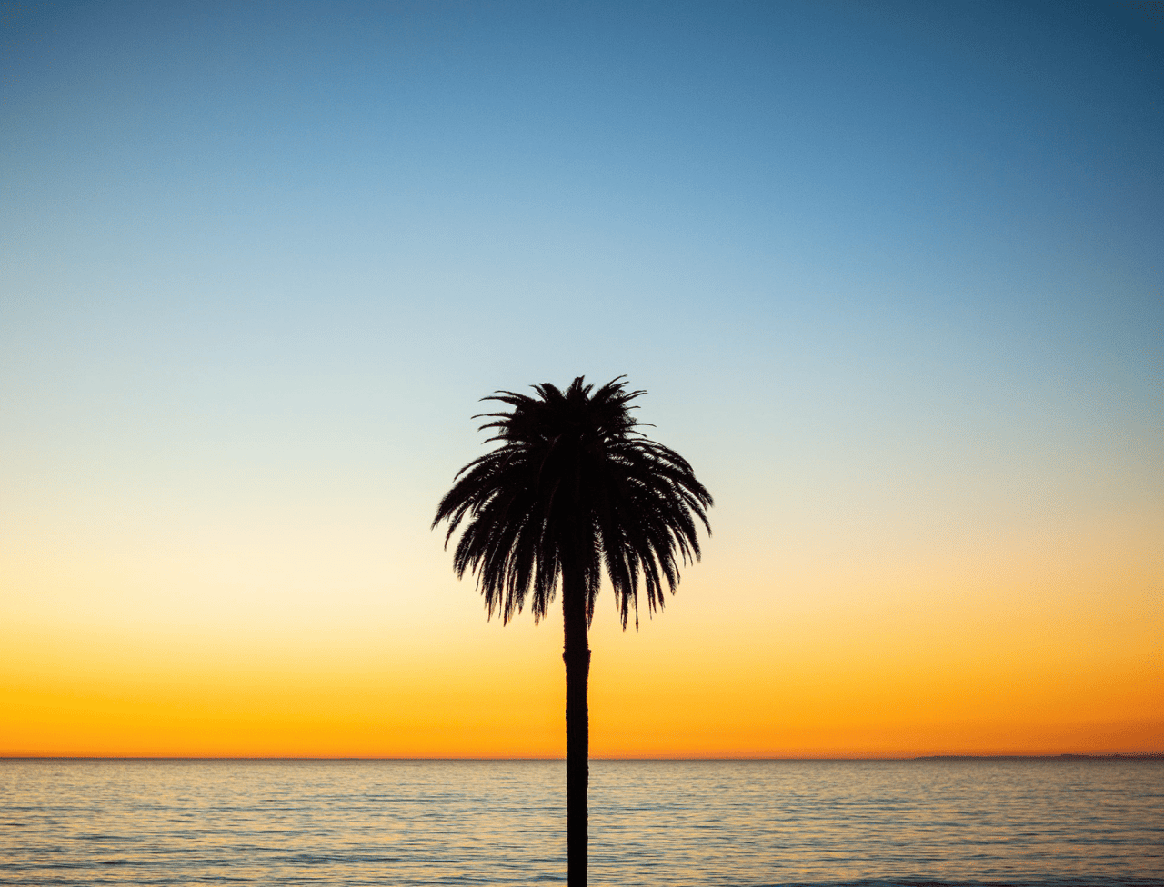 Josh J. Taylor, REALTOR in San Diego, CA