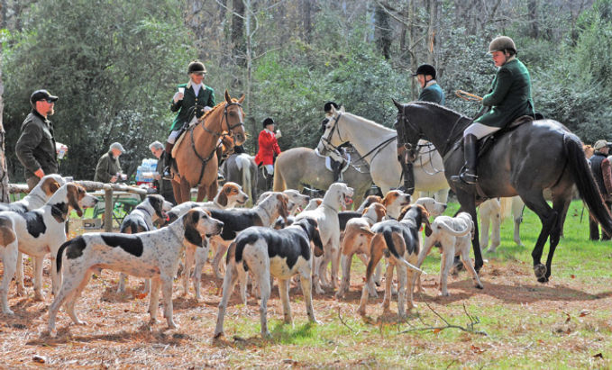 Find Aiken Homes and Farms | Barb Gould Uskup Realtor Aiken SC Real Estate Agent in Aiken, SC (2)