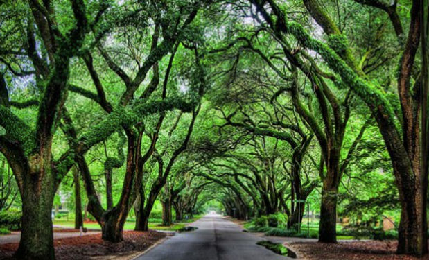 Find Aiken Homes and Farms | Barb Gould Uskup Realtor Aiken SC Real Estate Agent in Aiken, SC (5)