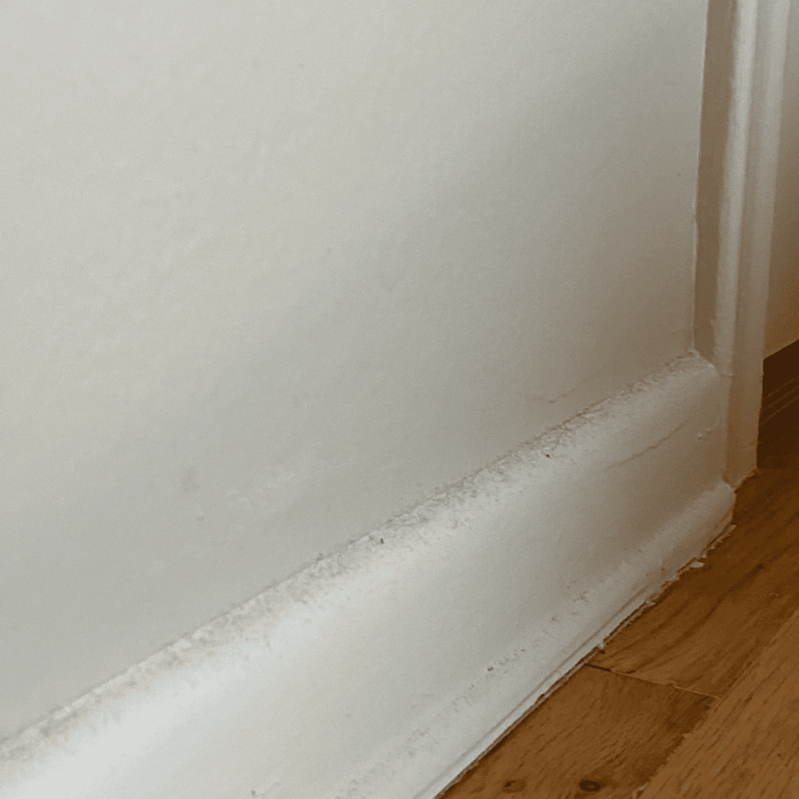 Pristine Empire Cleaning Services in San Jose, CA (2)