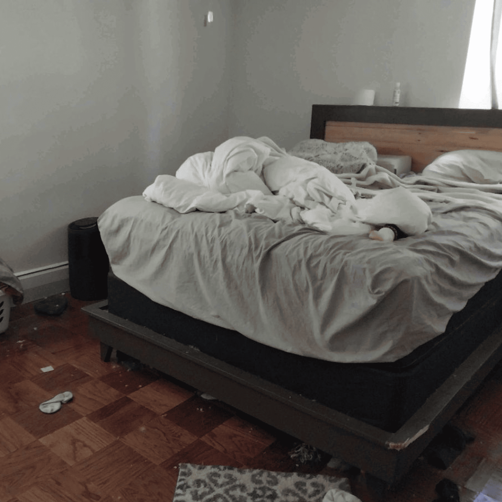 Pristine Empire Cleaning Services in San Jose, CA (5)