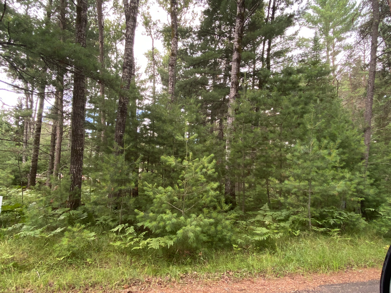 Eliason Realty of the North, LLC in Eagle River, WI (3)