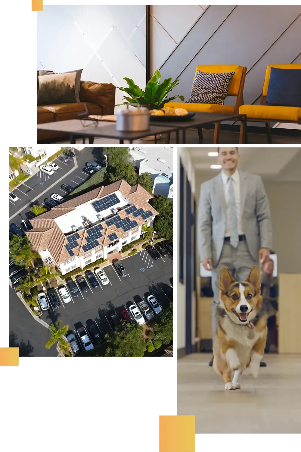 Global Legal Law Firm in Encinitas, CA (2)