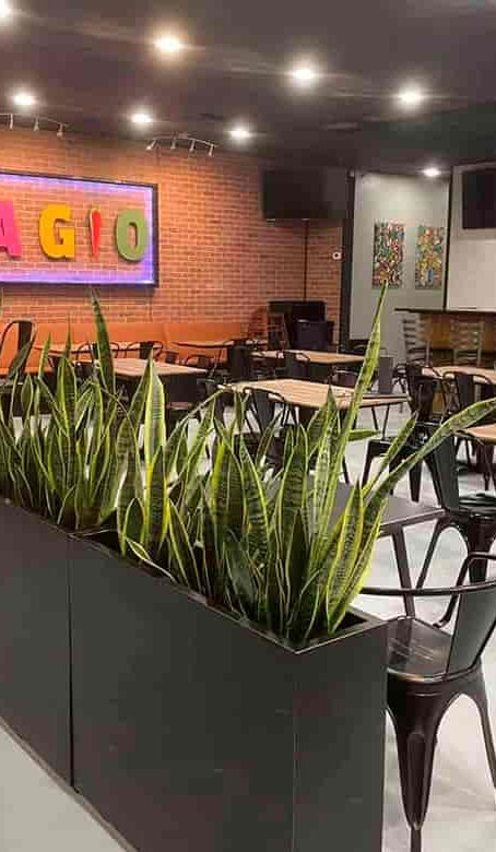 Guagio Latin Flavors in Blue Ridge, GA (3)