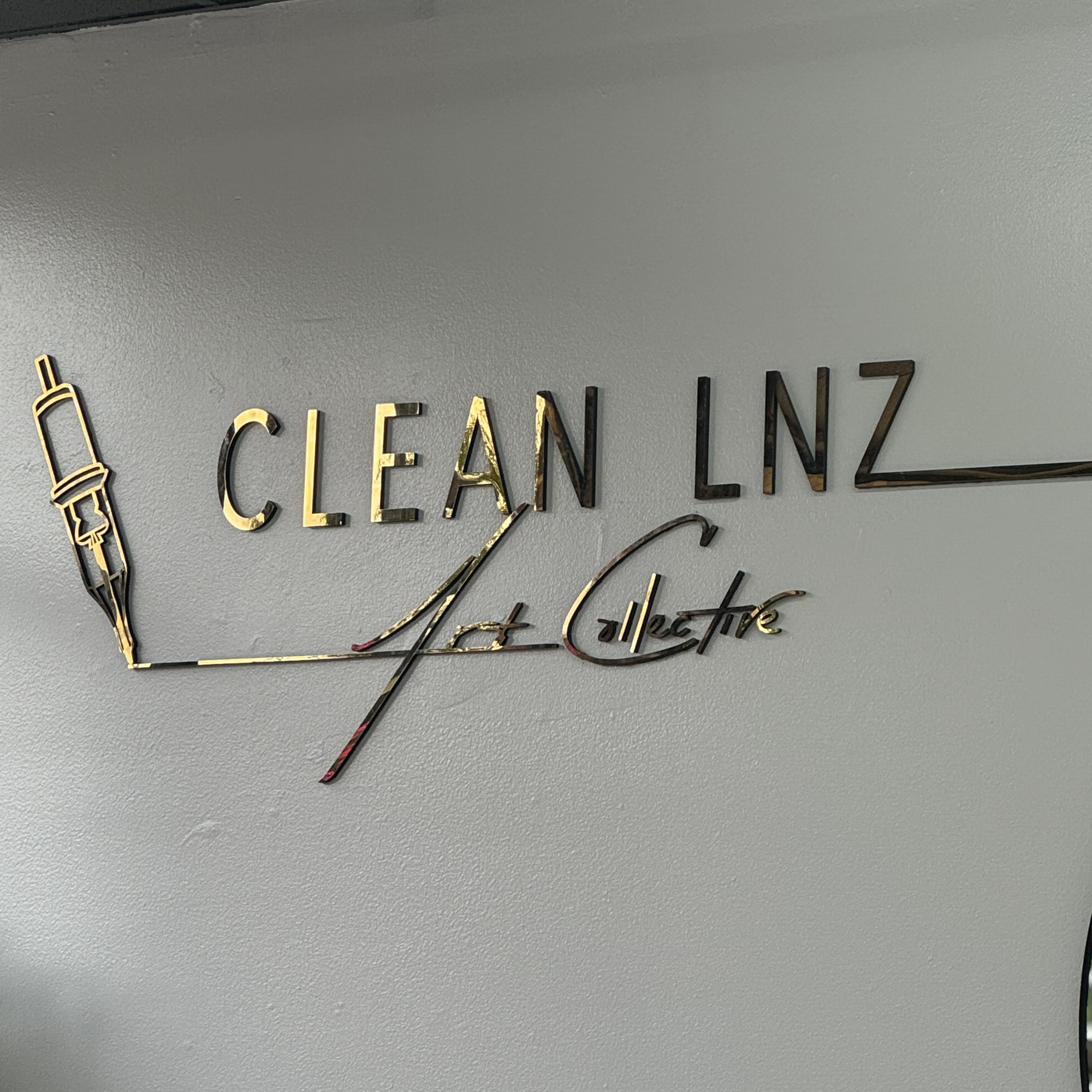Clean Lnz Art Collective in Ferndale, MI (2)