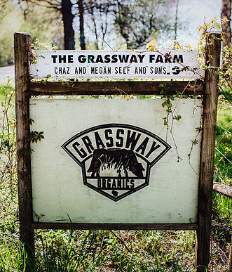 Pizza on the Farm in East Troy, WI (3)