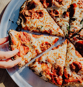 Pizza on the Farm in East Troy, WI (6)