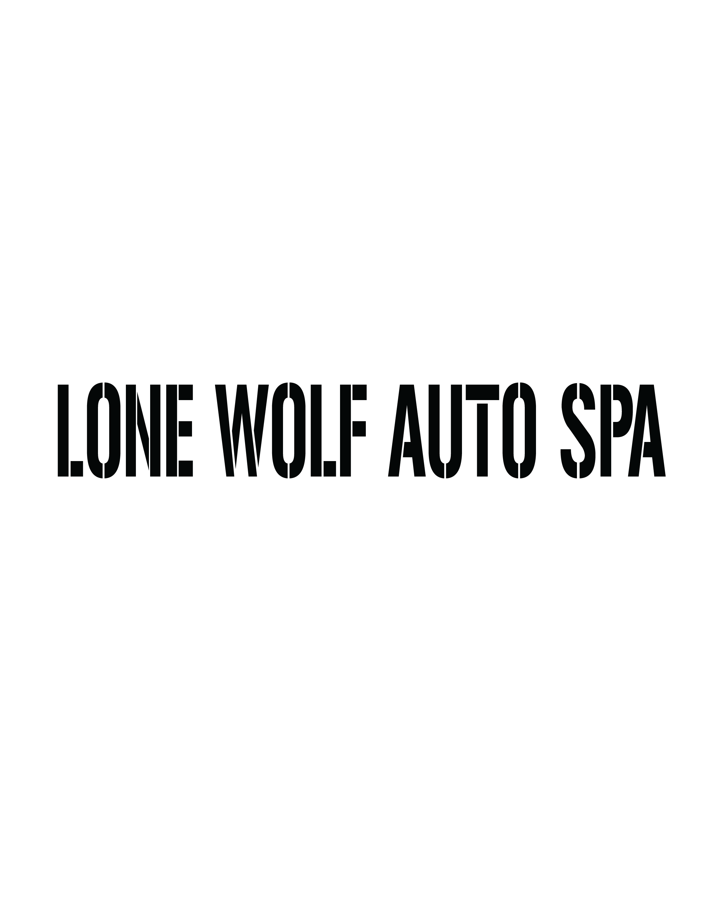 Lone Wolf Auto Spa LLC in Lannon, WI (2)
