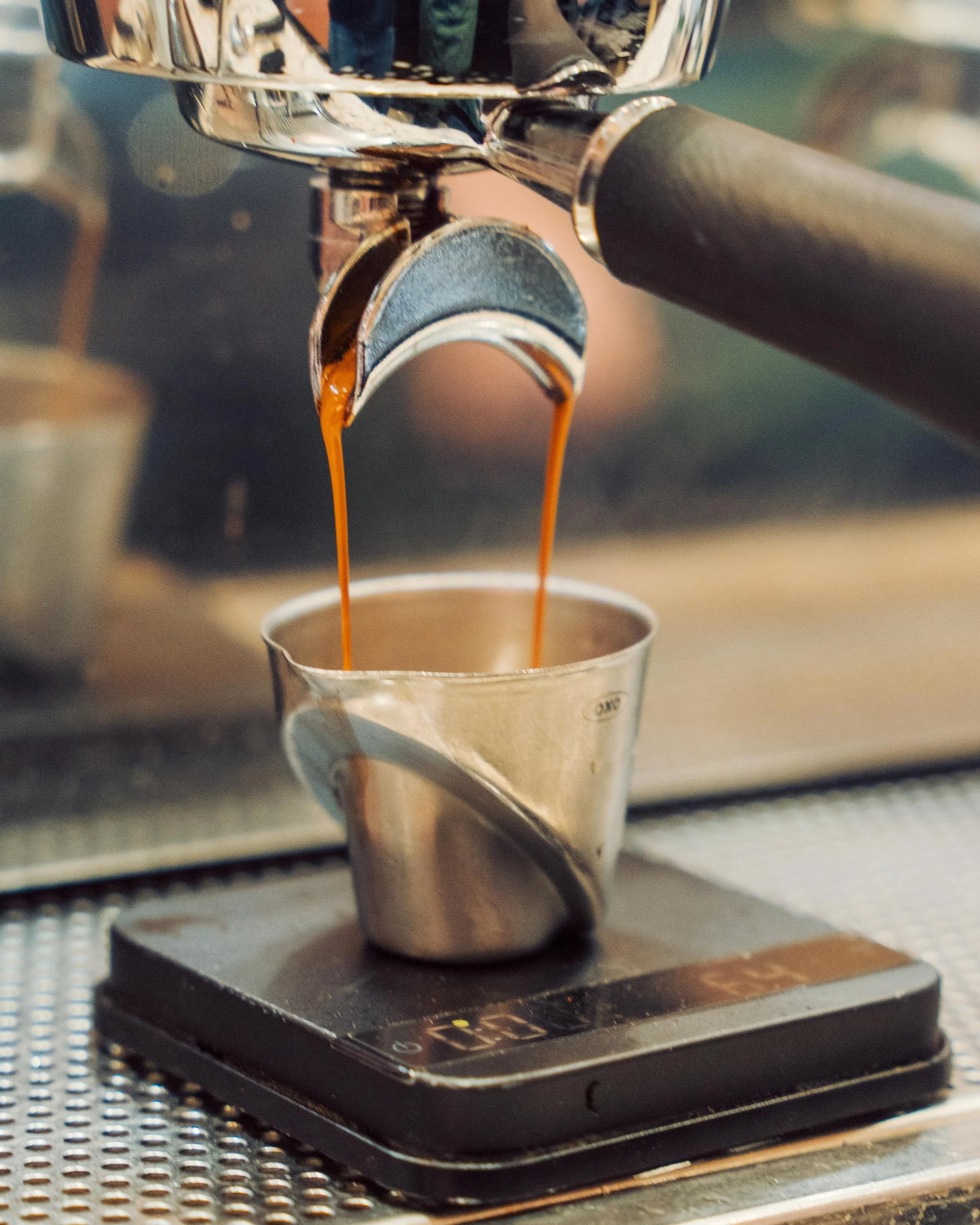 Stemma Craft Coffee in Orlando, FL (2)