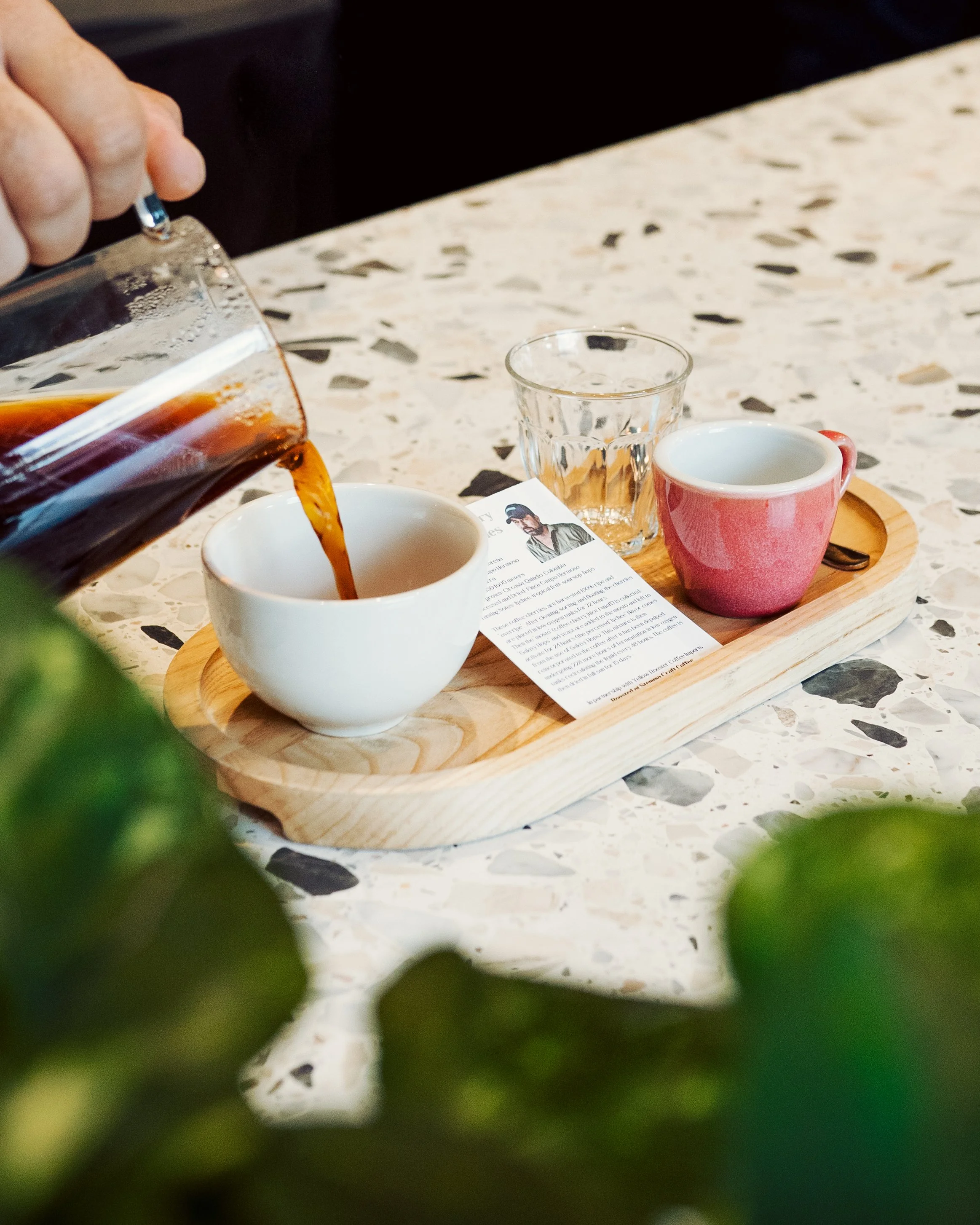 Stemma Craft Coffee in Orlando, FL (4)