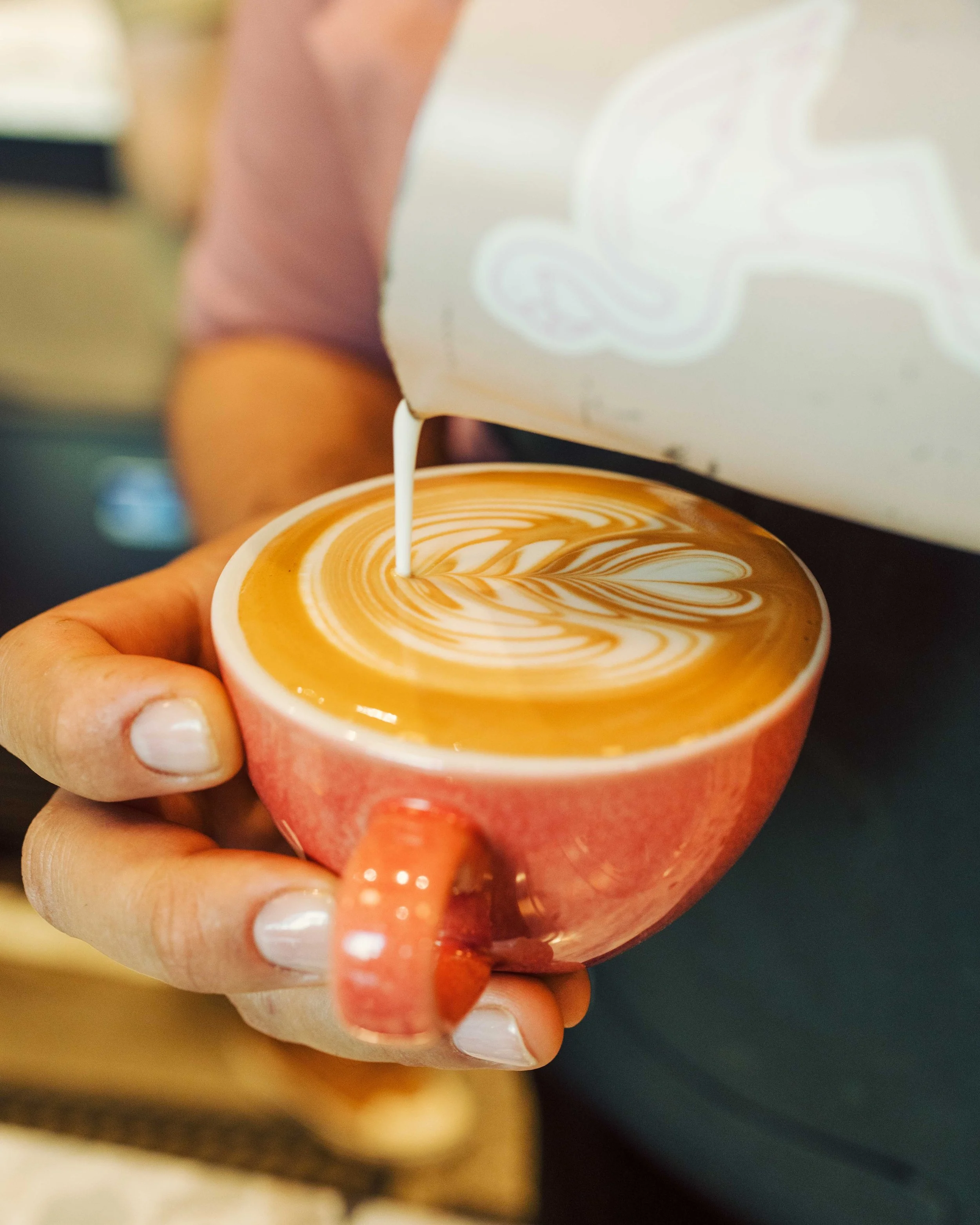 Stemma Craft Coffee in Orlando, FL (5)