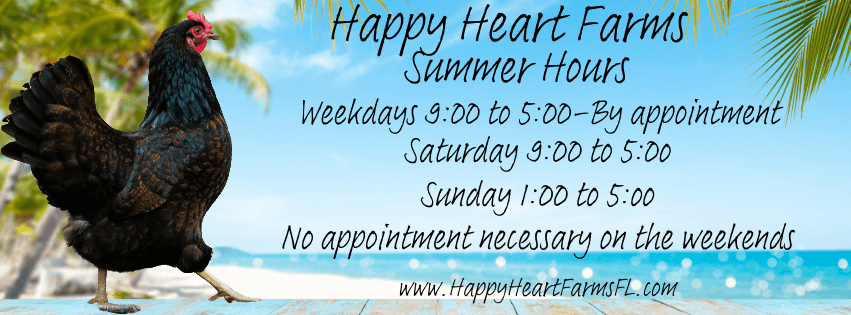HAPPY HEART FARMS, LLC in Live Oak, FL (3)