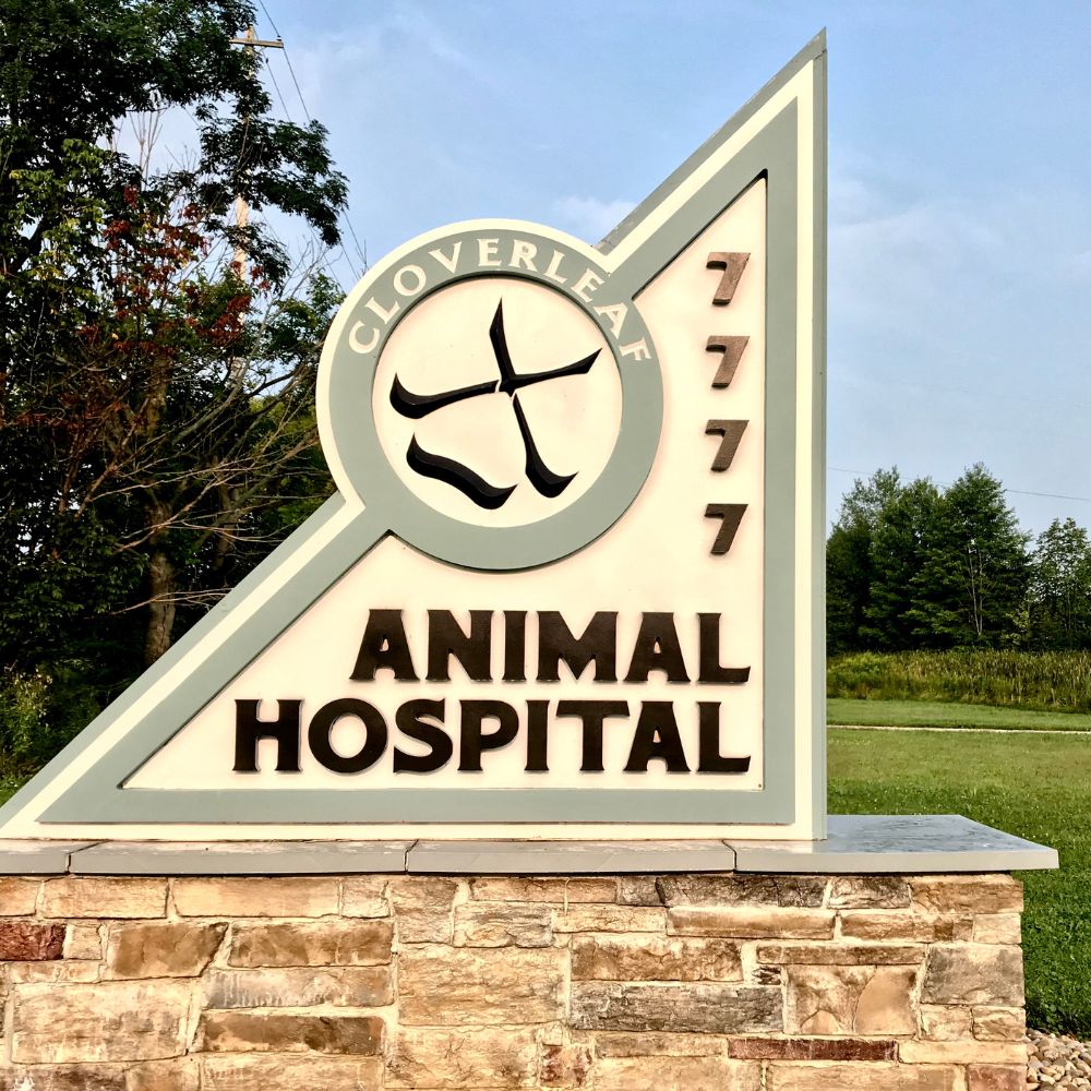 Cloverleaf Animal Hospital in Lodi, OH (3)