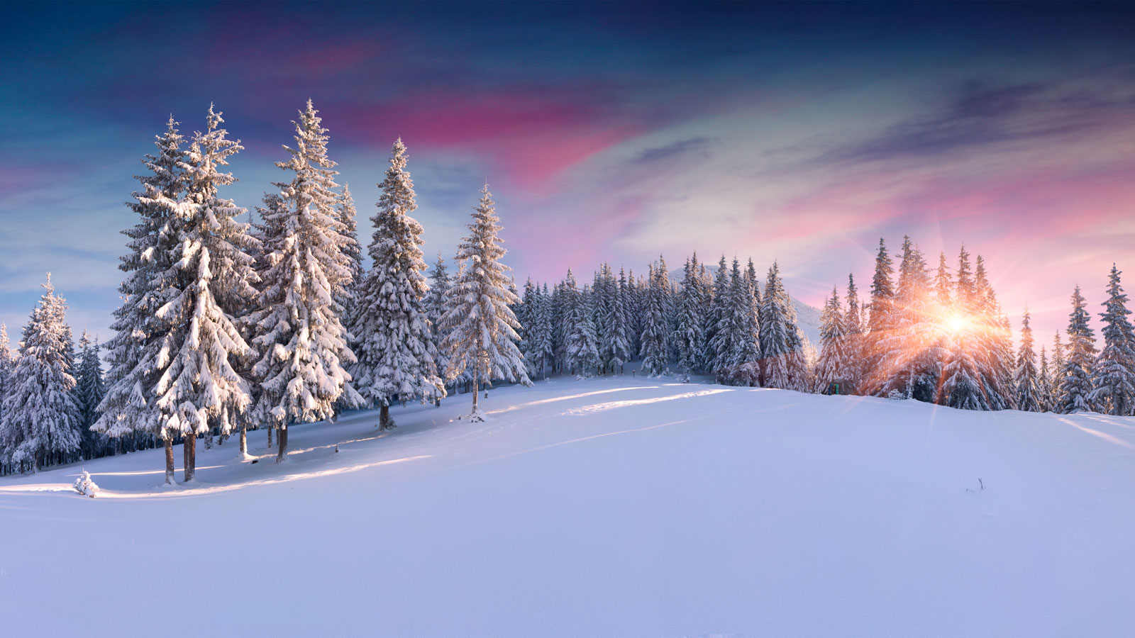 Nina Clifton Luxury Real Estate in Truckee, CA