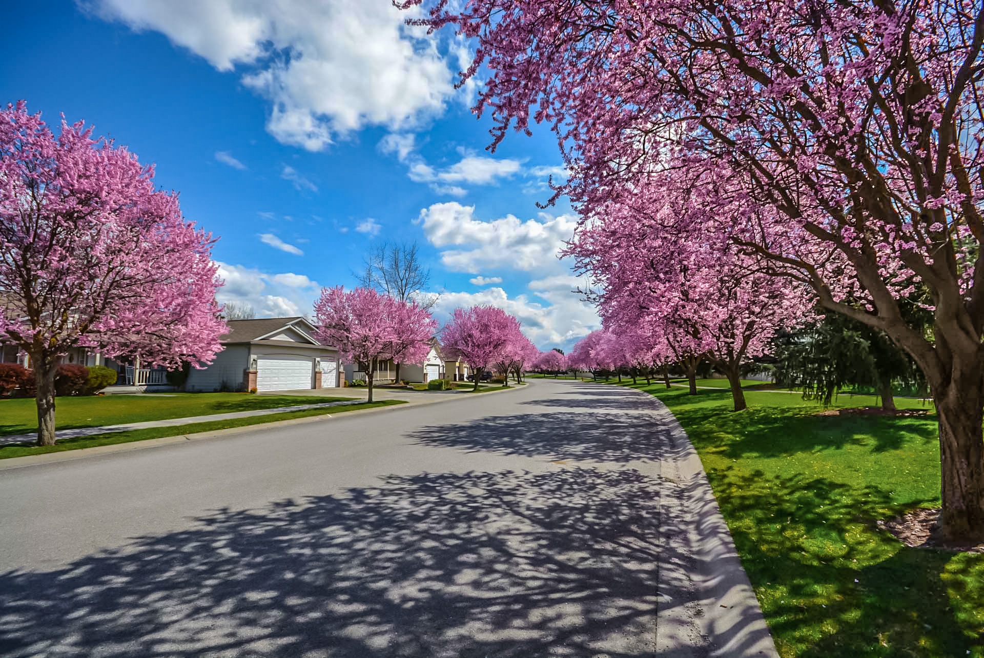 Mita Kapadia Real Estate Team -RE/MAX Gold- San Francisco Peninsula in Redwood City, CA (2)