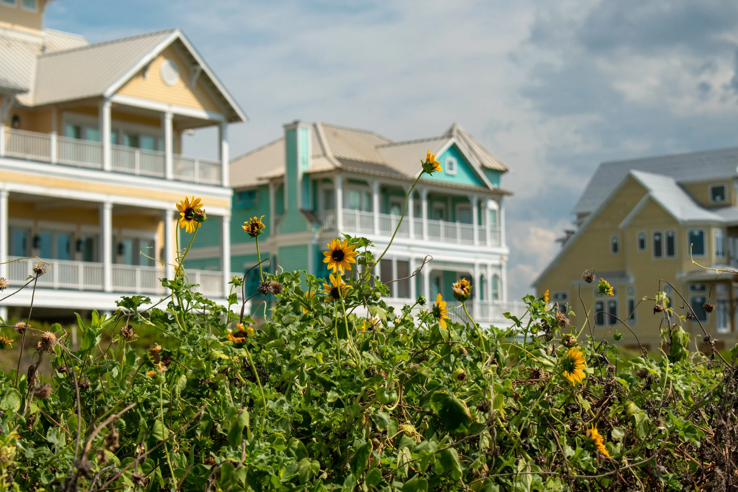 Sharron Hensley / Best Realtor In Galveston, TX | Galveston Neighborhood Expert & Real Estate Matchmaker in Texas City, TX (4)