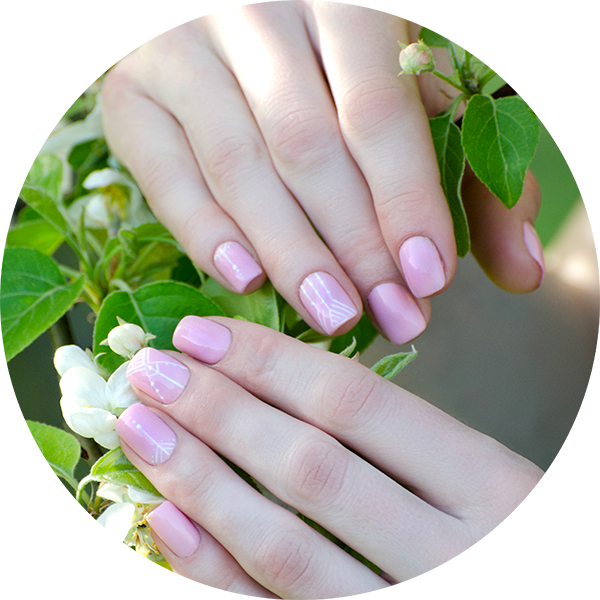 LUXURY NAILS & SPA - Nail Salon Westchase Tampa FL in Tampa, FL (2)
