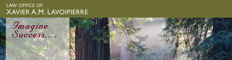Sonoma Law Office (Law Office of Xavier A.M. Lavoipierre) in Sonoma, CA