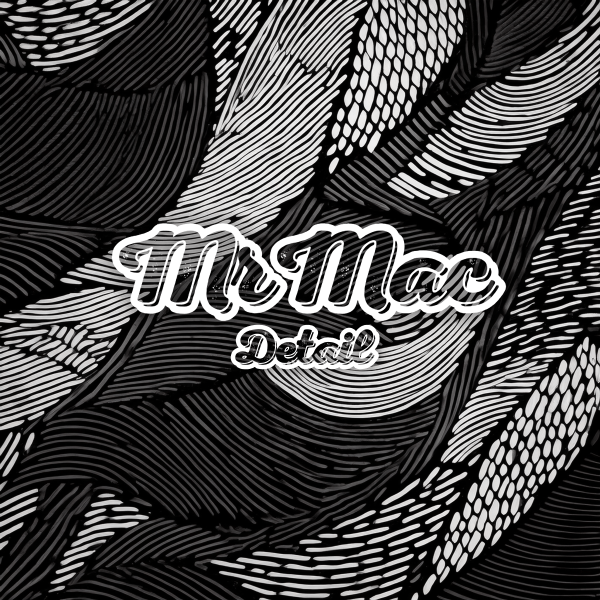 MrMac Detail in Seaside, CA