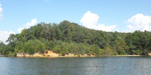 Joyce Presley Realty, LLC in Fort Mill, SC (2)