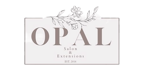 Opal Salon in Northville, MI