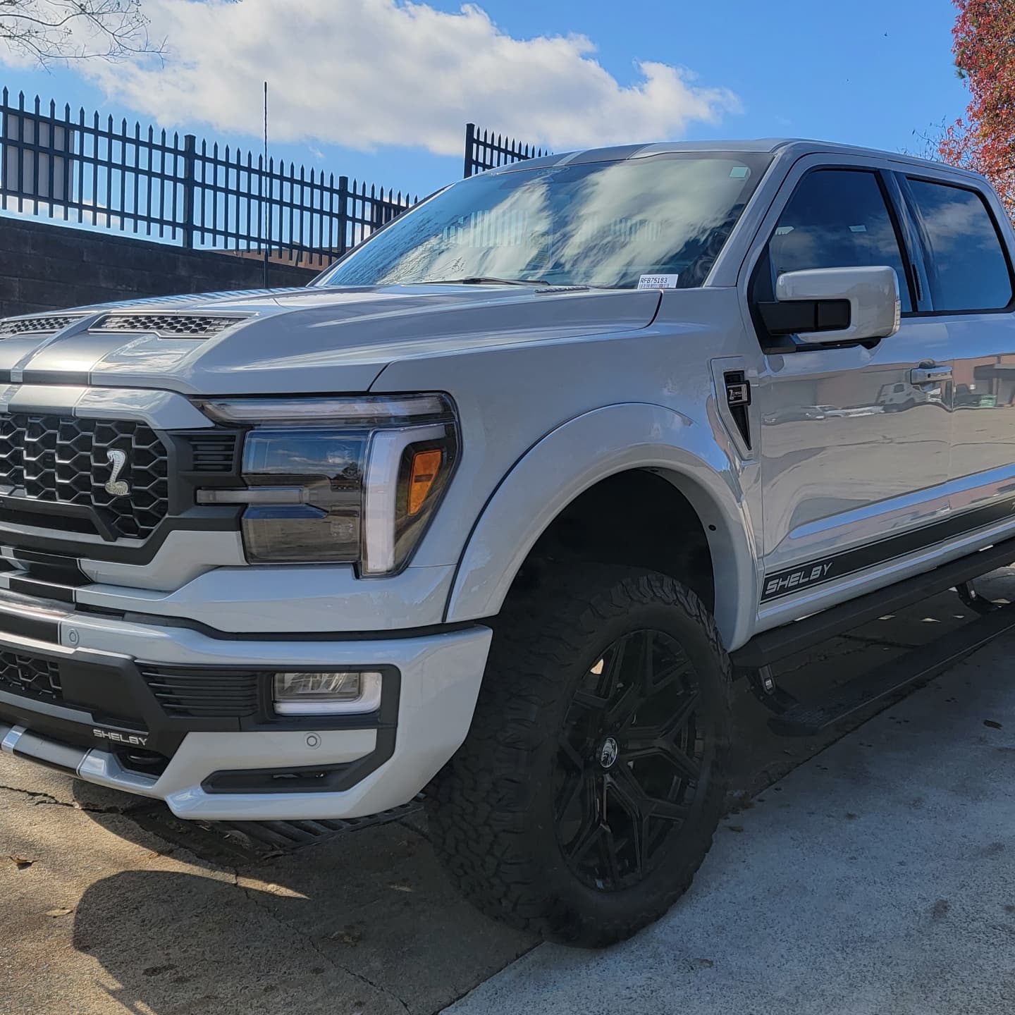 Alpha Detailing Specialist in Marietta, GA (2)