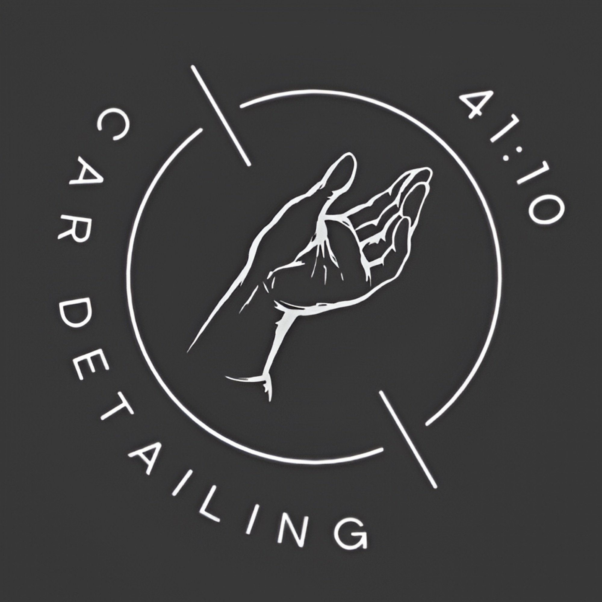 41:10 Car Detailing in Ellijay, GA