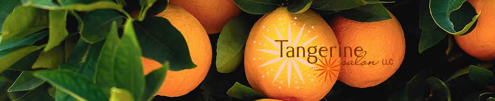 Tangerine Salon LLC in Sheboygan, WI