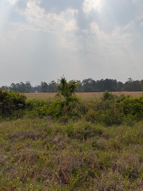 Missy Sherwood - Georgia Florida Real Estate Services in Valdosta, GA (6)