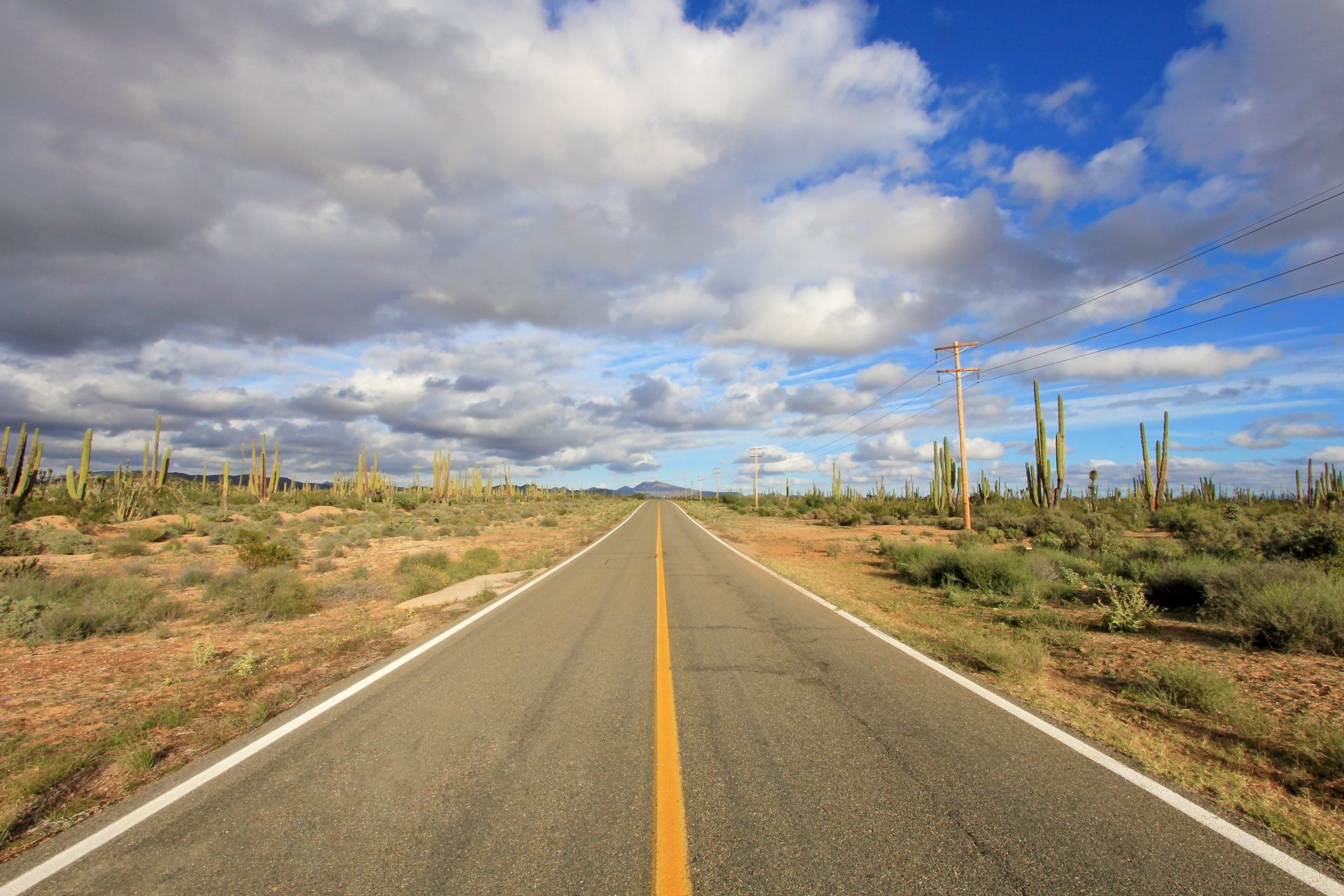 Tom Cole Tax, The Tax Doctor, Inc. in Hesperia, CA
