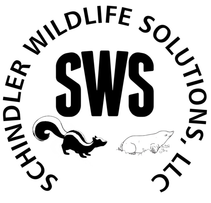 Schindler Wildlife Solutions LLC in Lawrenceburg, IN