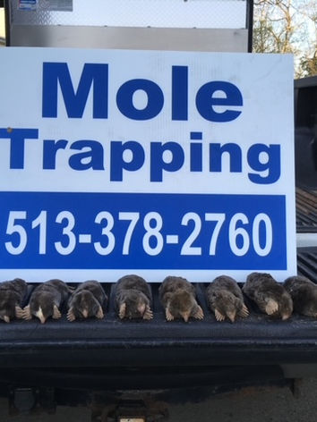 Schindler Wildlife Solutions LLC in Lawrenceburg, IN (3)