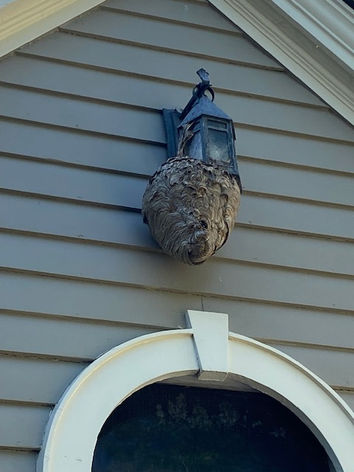 Schindler Wildlife Solutions LLC in Lawrenceburg, IN (4)