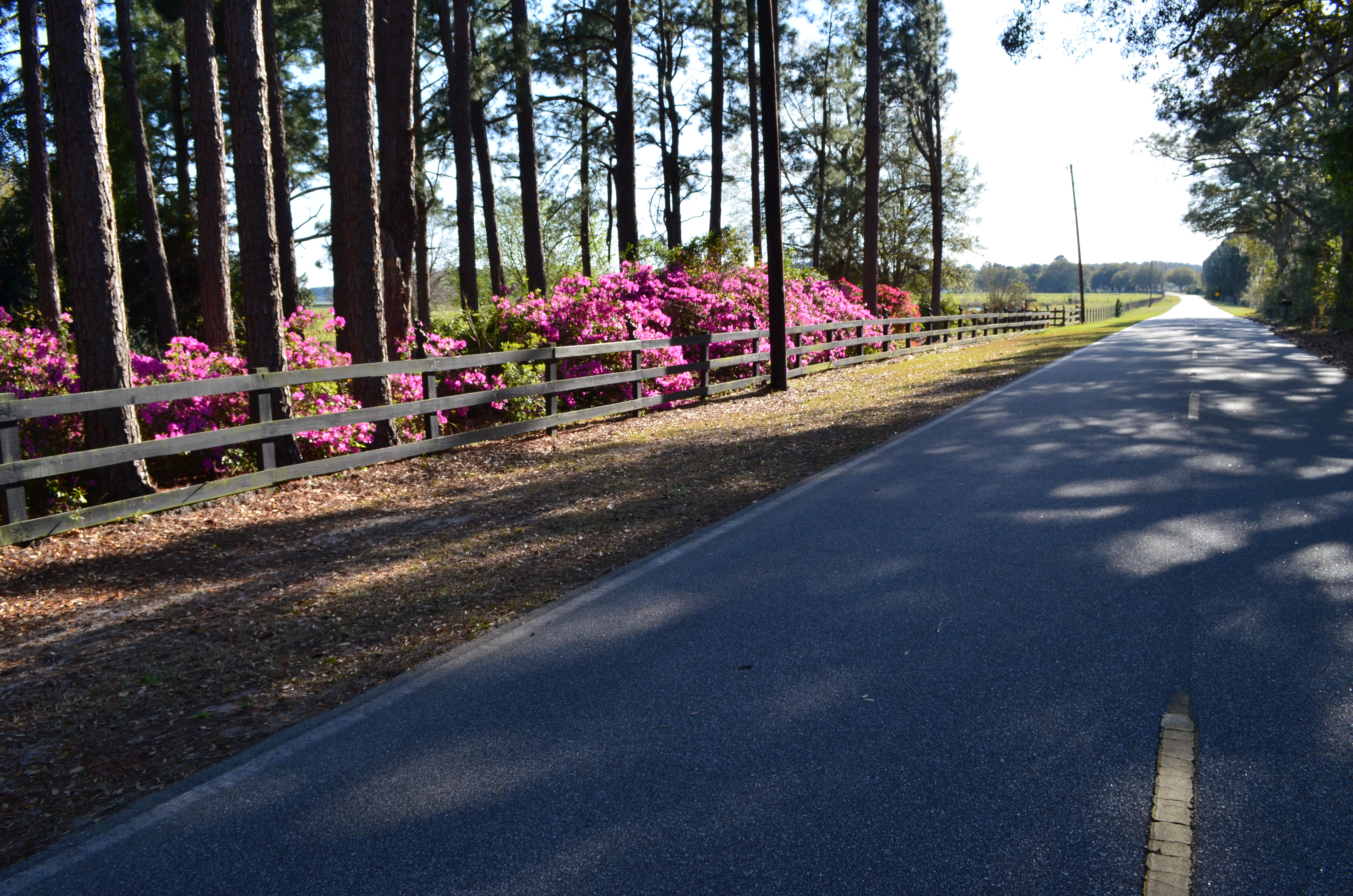 Patty Ravenel Edwards and Associates in Hollywood, SC (5)
