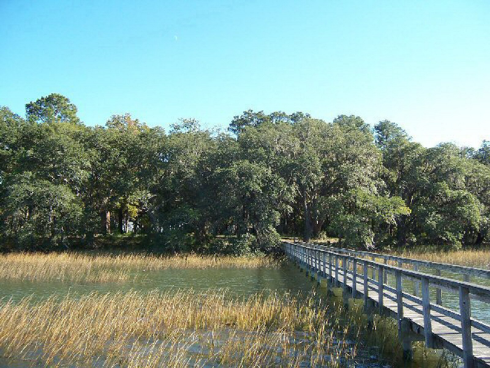 Patty Ravenel Edwards and Associates in Hollywood, SC (6)