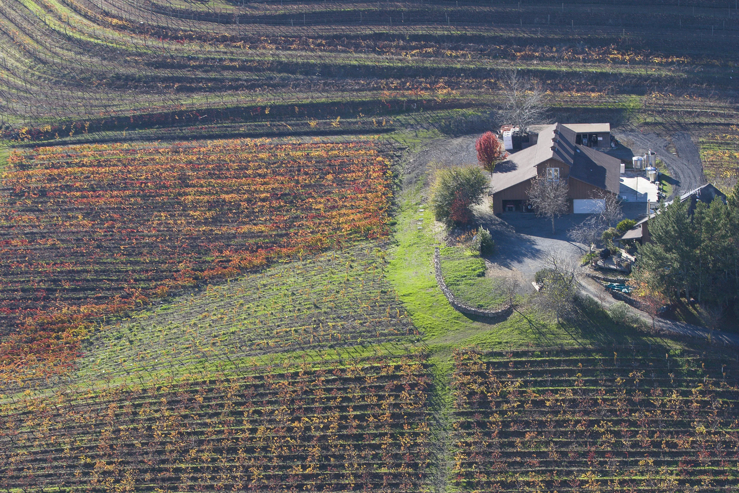 J. Rickards Winery in Cloverdale, CA