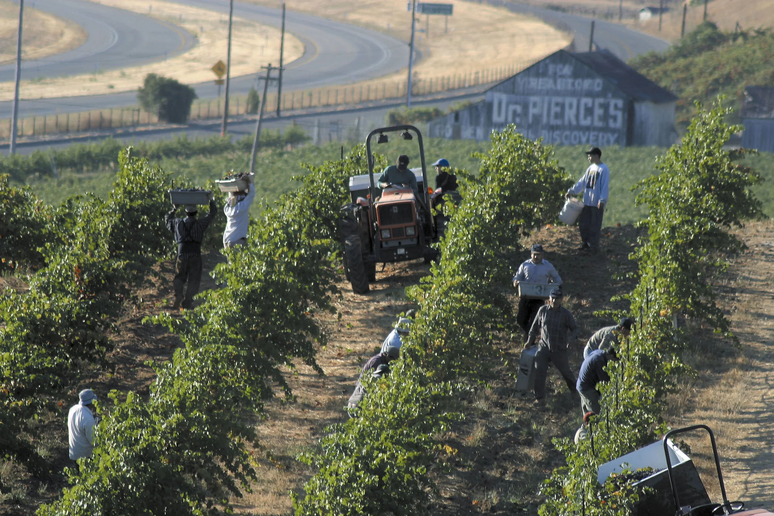 J. Rickards Winery in Cloverdale, CA (3)