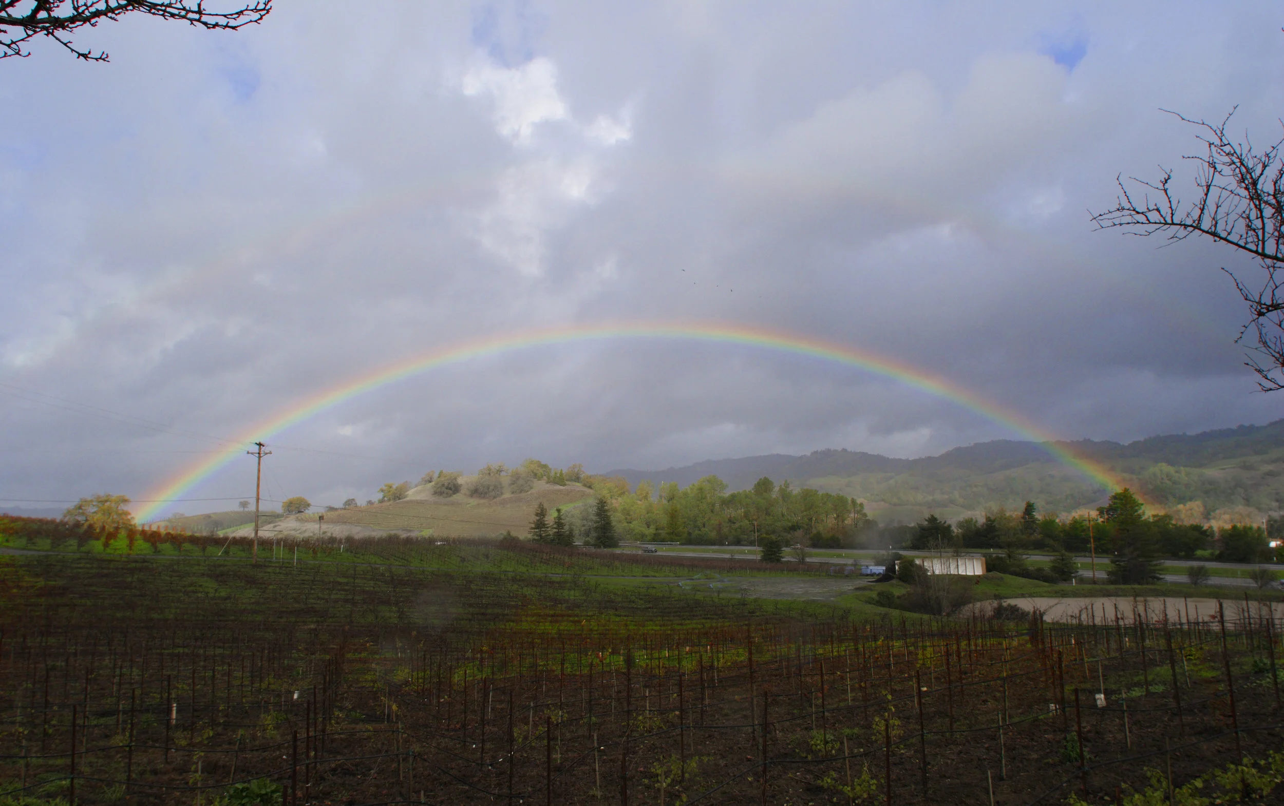 J. Rickards Winery in Cloverdale, CA (6)