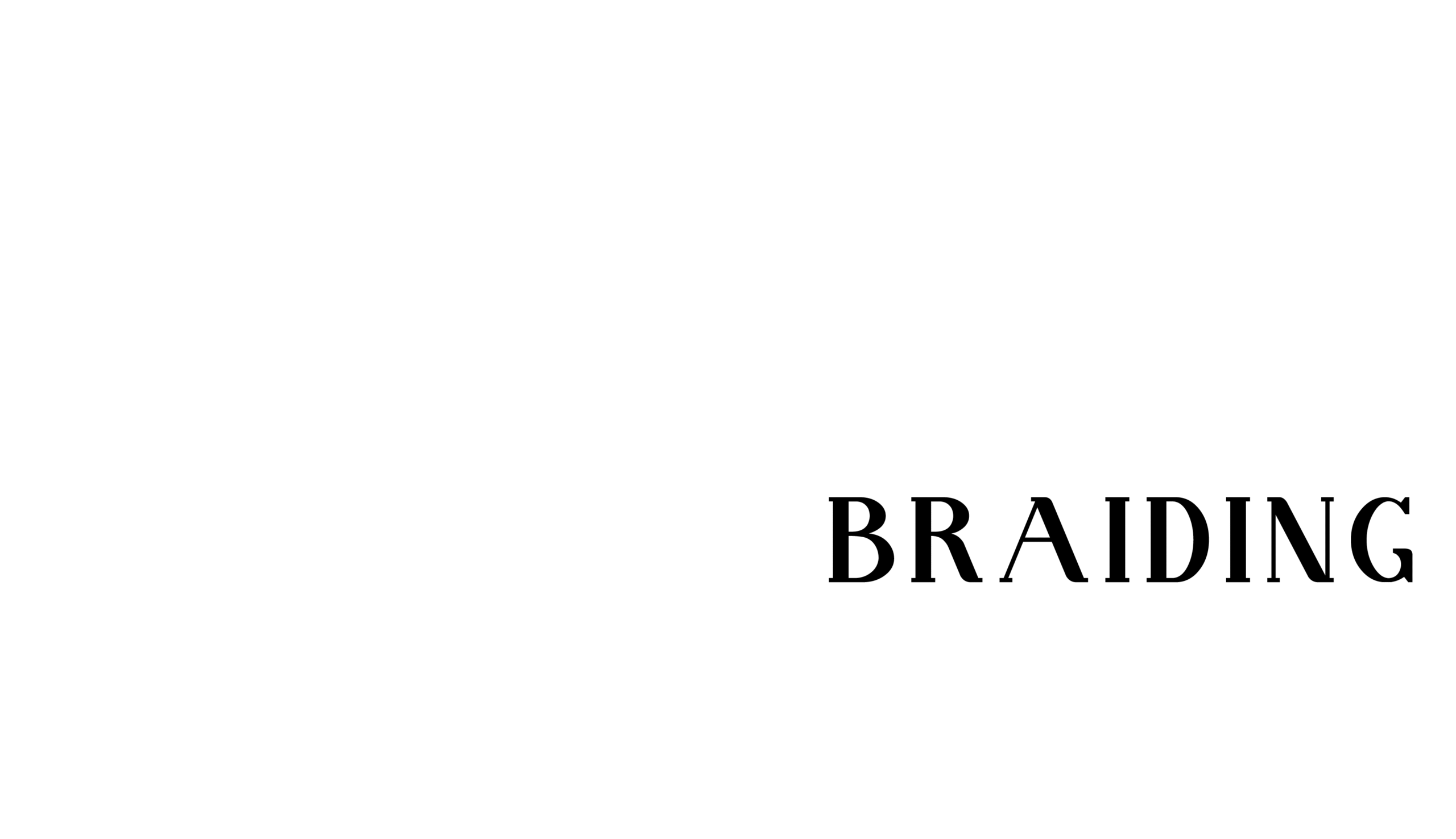 Meeky Braiding in Mt Rainier, MD (5)