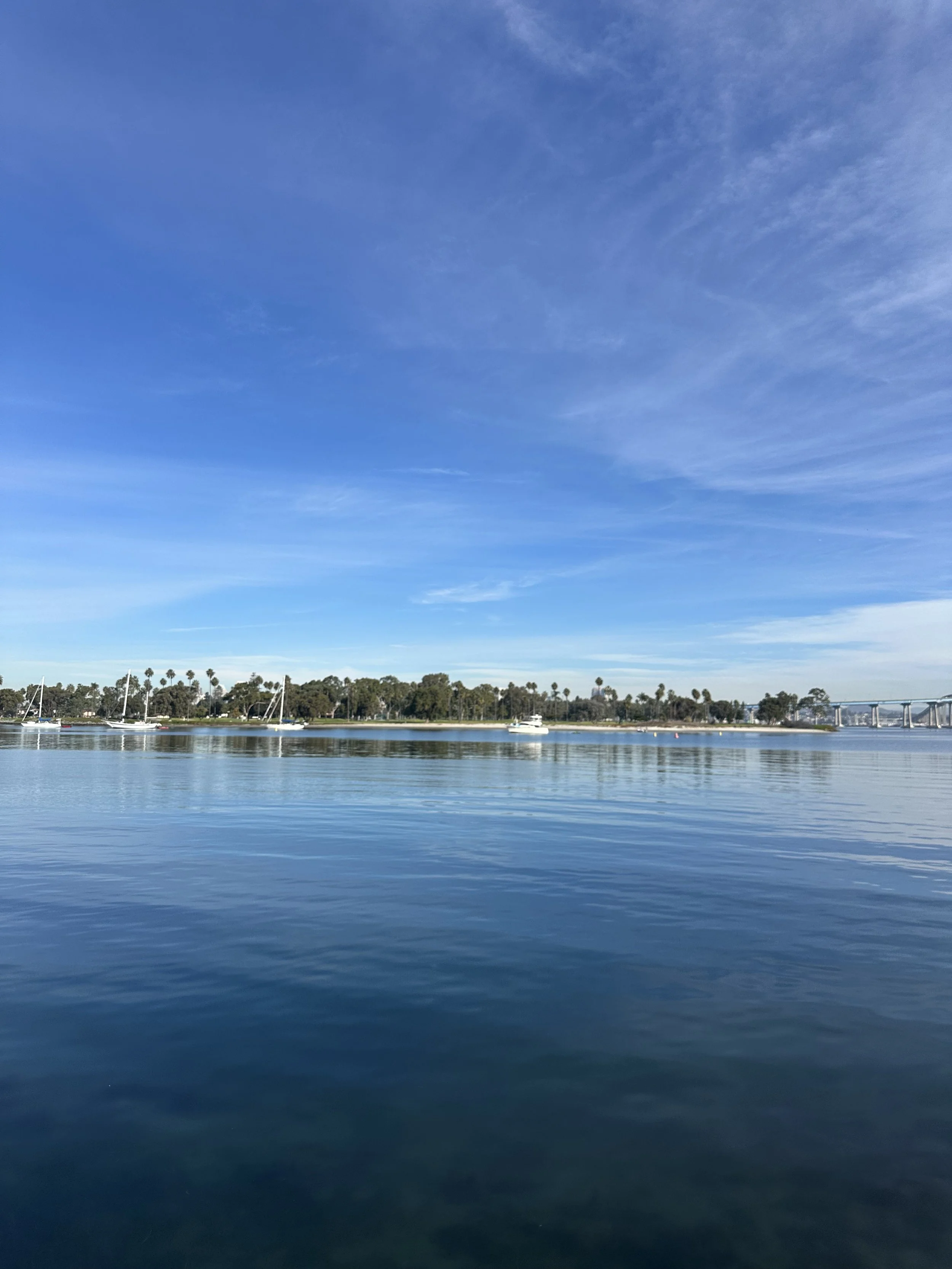 Matt Axelson | San Diego Realtor® in Coronado, CA (5)