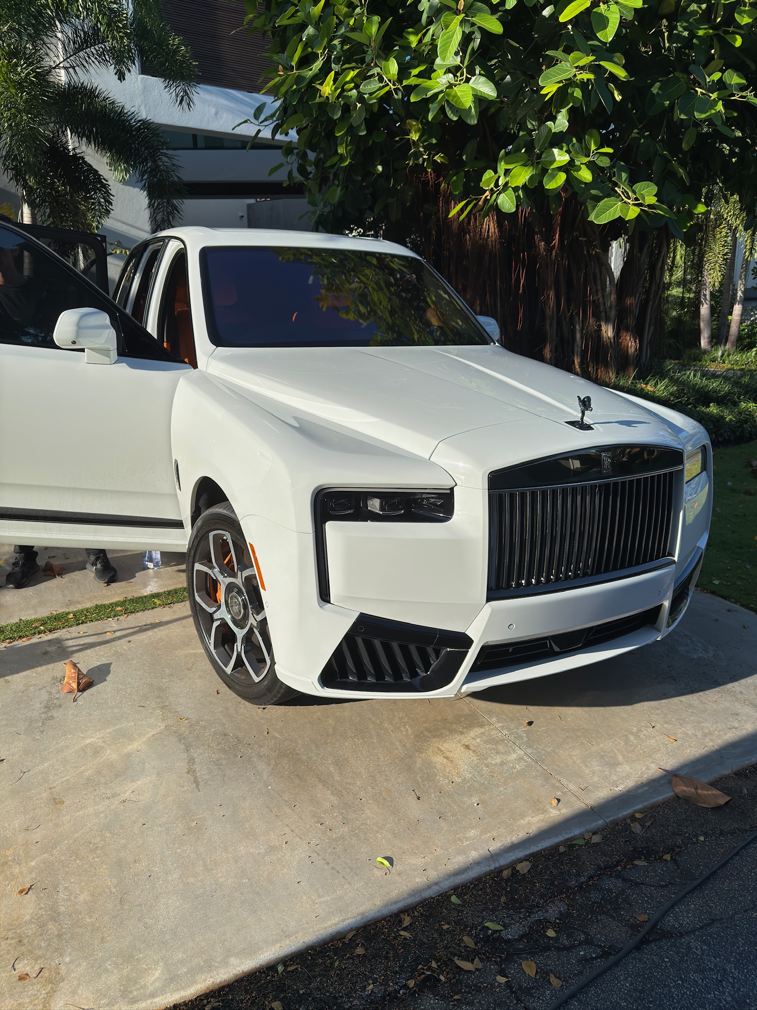 Elite Mobile Detailing in La Mesa, CA