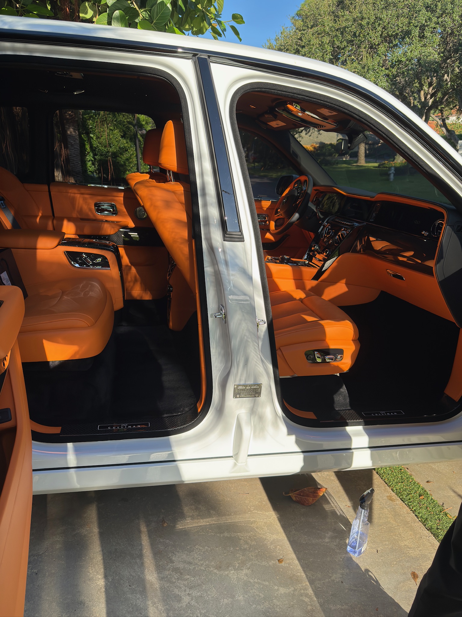 Elite Mobile Detailing in La Mesa, CA (2)