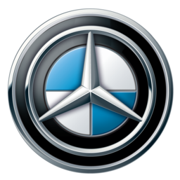 European Motor Werks in Hendersonville, NC (2)